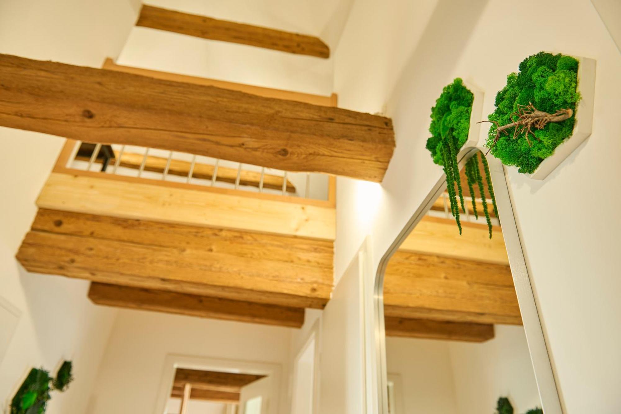 Wood World Luxury - Massage - Bergblick - Tranpolin- Parken Daire Markdorf Dış mekan fotoğraf
