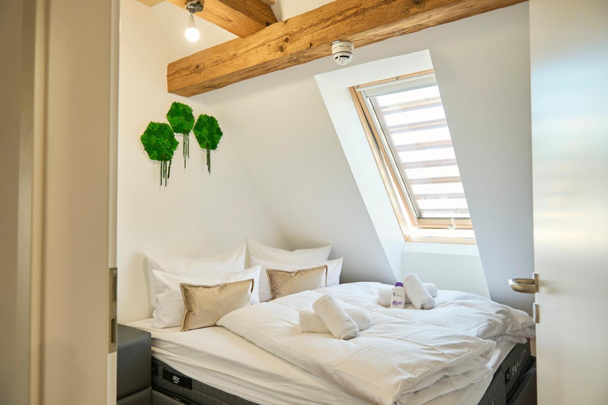 Wood World Luxury - Massage - Bergblick - Tranpolin- Parken Daire Markdorf Dış mekan fotoğraf