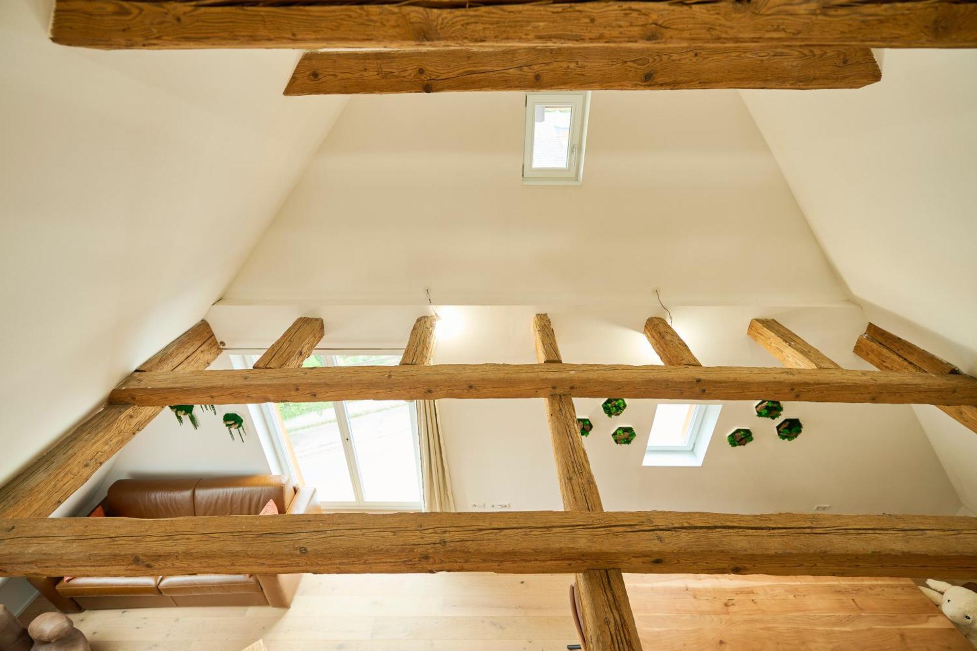 Wood World Luxury - Massage - Bergblick - Tranpolin- Parken Daire Markdorf Dış mekan fotoğraf